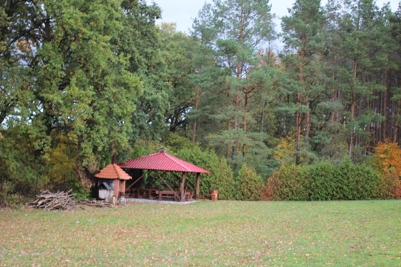 Gospodarstwo Agroturystyczne Agroletnica Świdnica 외부 사진
