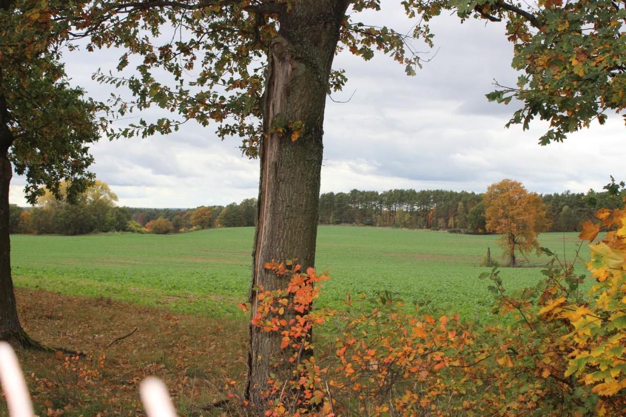 Gospodarstwo Agroturystyczne Agroletnica Świdnica 외부 사진