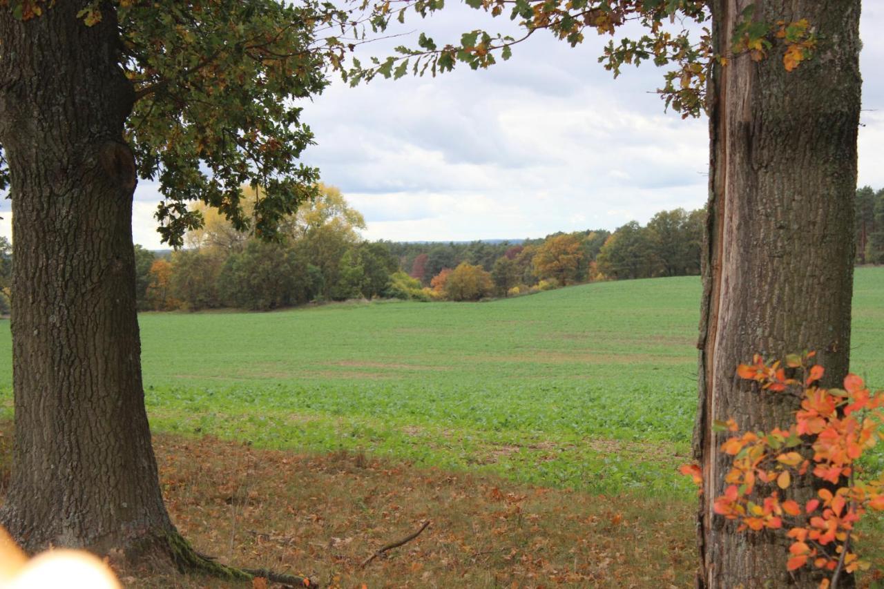 Gospodarstwo Agroturystyczne Agroletnica Świdnica 외부 사진
