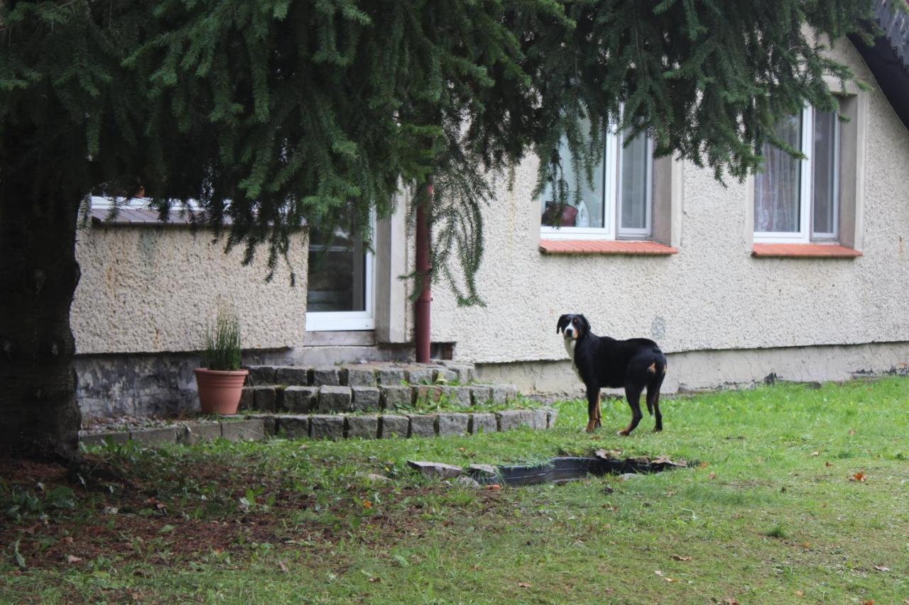 Gospodarstwo Agroturystyczne Agroletnica Świdnica 외부 사진