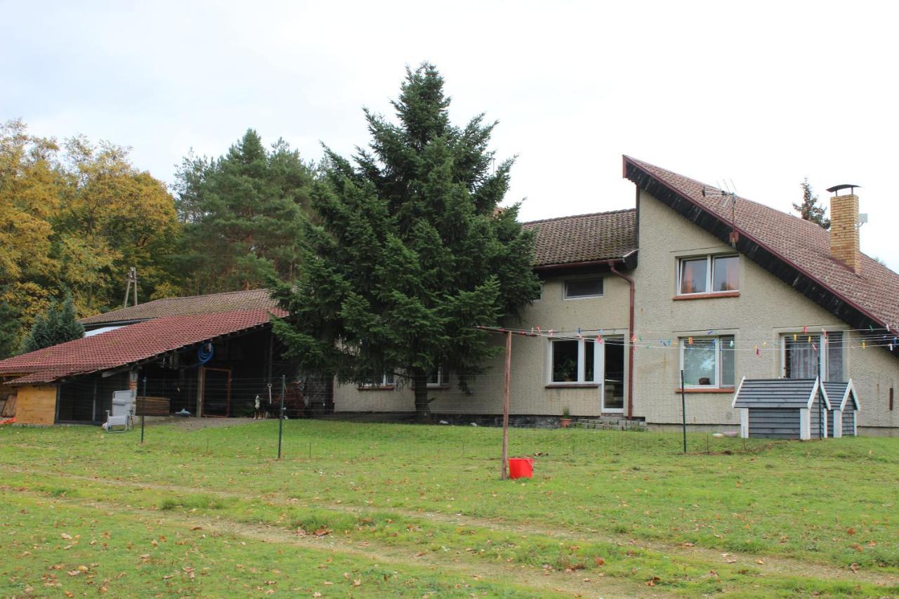 Gospodarstwo Agroturystyczne Agroletnica Świdnica 외부 사진