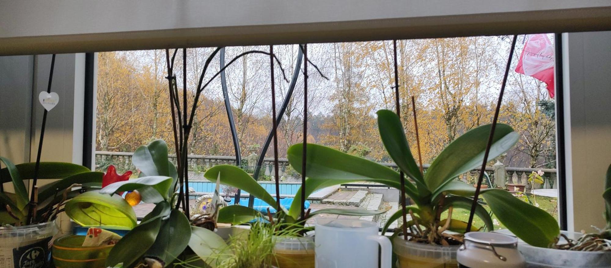 Gospodarstwo Agroturystyczne Agroletnica Świdnica 외부 사진